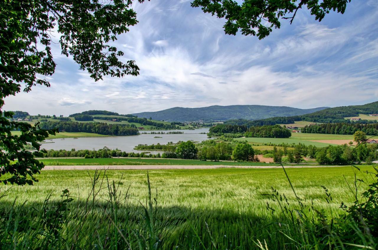 Hotel Altmann 3*